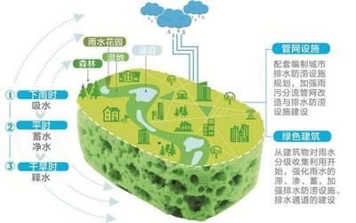 溫州全面推進(jìn)海綿城市建設(shè) 市區(qū)建成區(qū)25%以上面積今年達(dá)到“水彈性”要求，強(qiáng)化自然生態(tài)系統(tǒng)保護(hù)管理